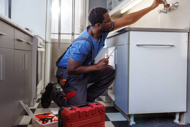 Best Local Plumber Services  in Hebron, MD